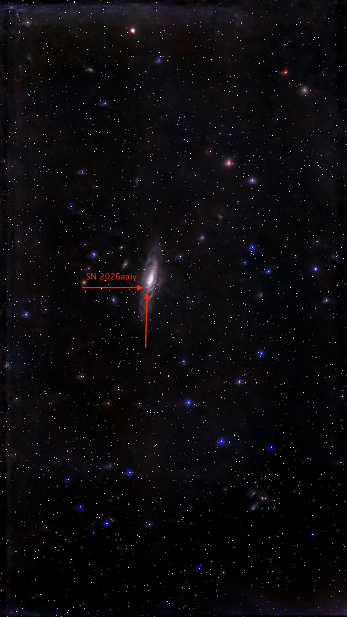 NGC 7331 wraz z SN 2026aaiv, wrzesień 2026, obraz uzyskany metodą ręcznego dziergania w Sirilu ;-)