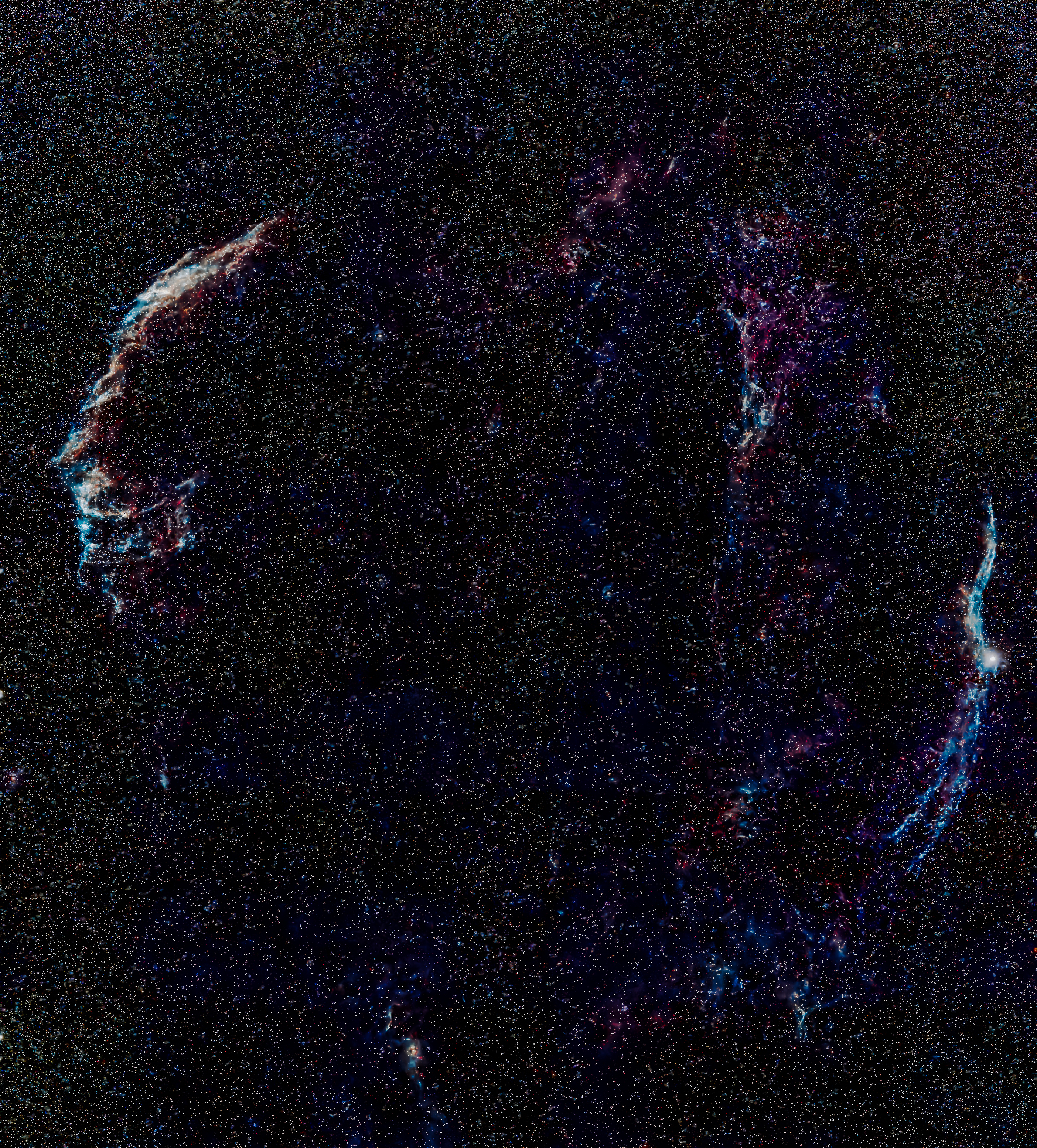 Cygnus Loop
