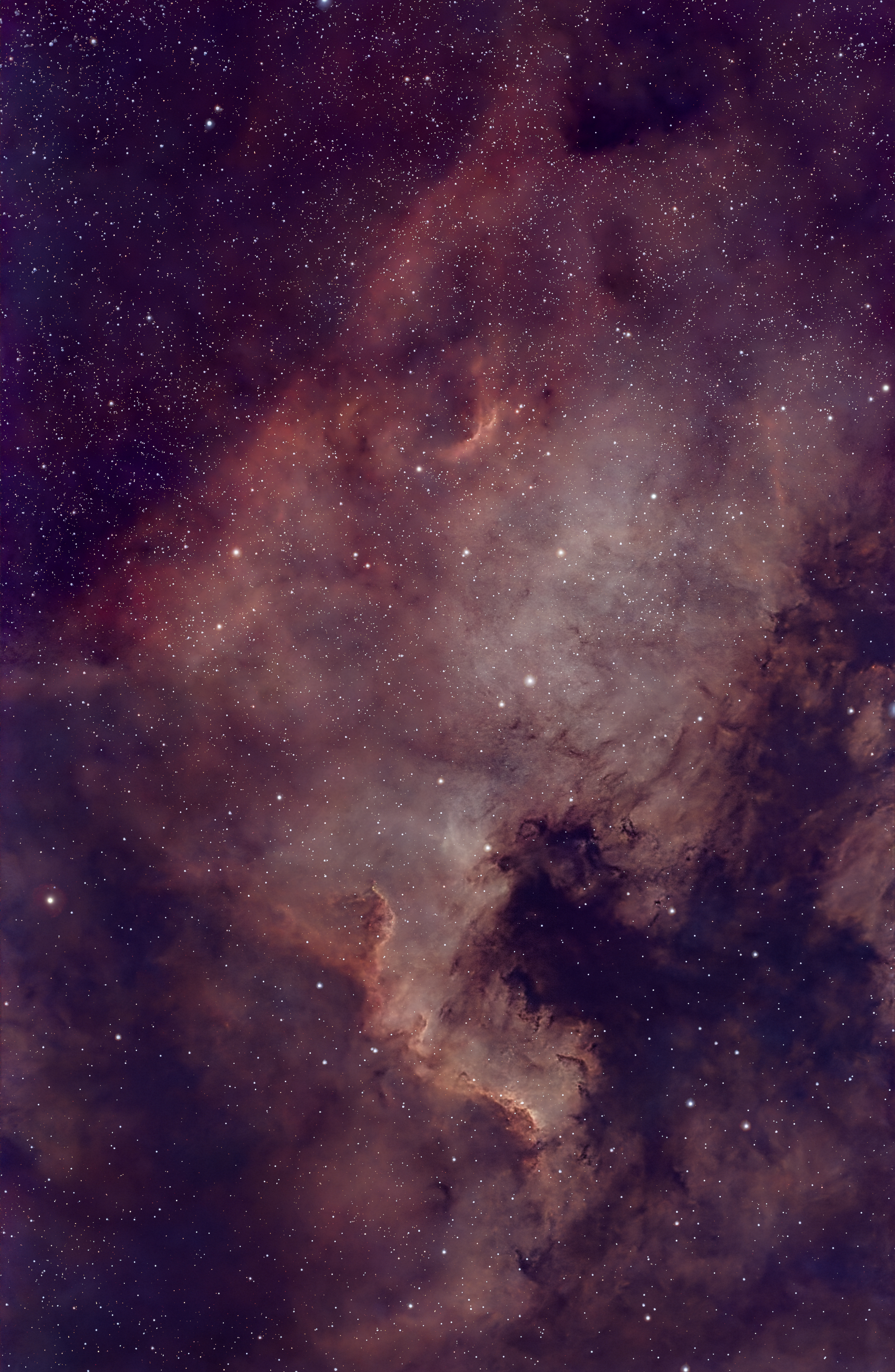 NGC7000
