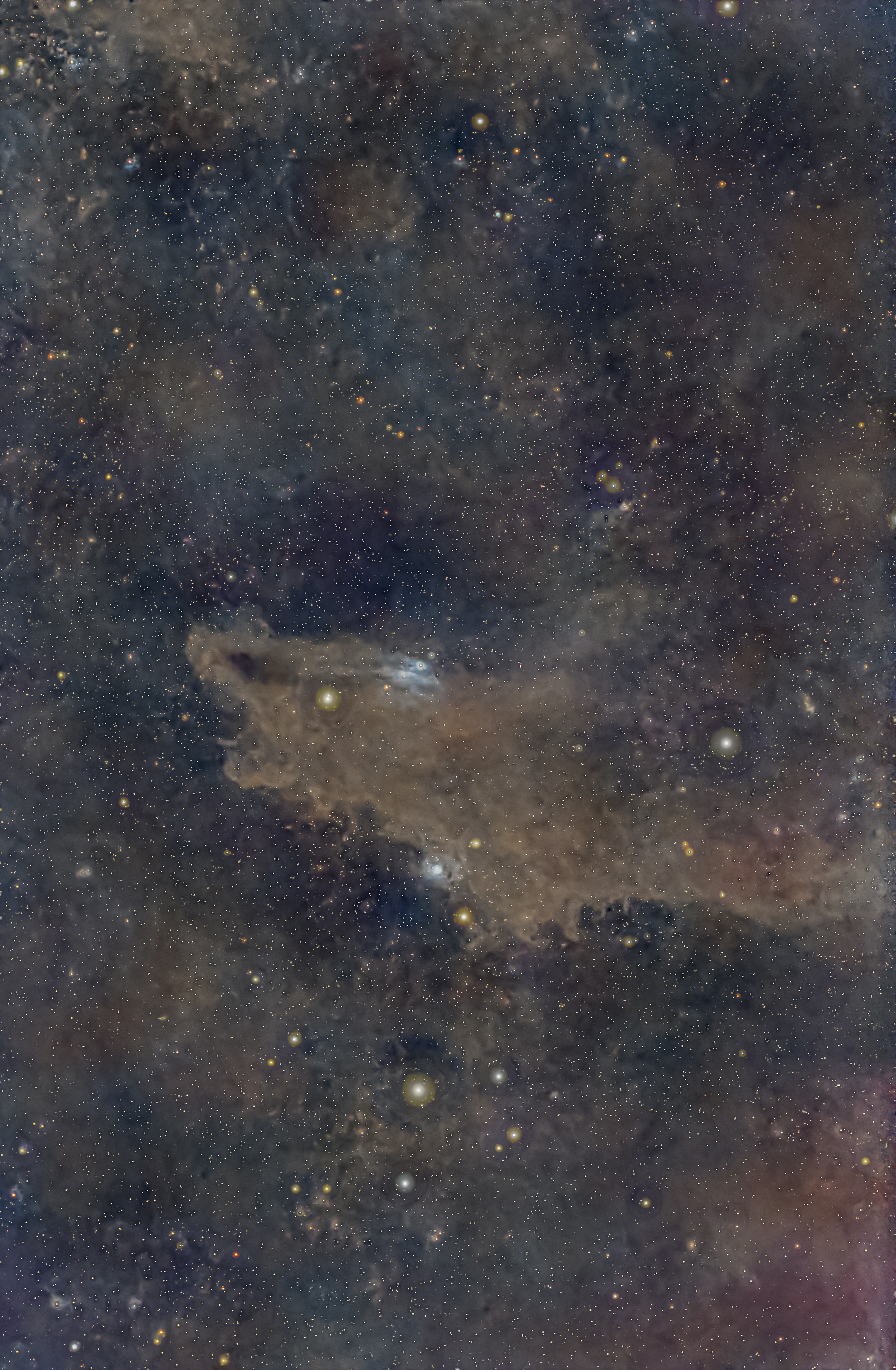 *Dark Shark Nebula / VdB-150 / Mgławica Rekin