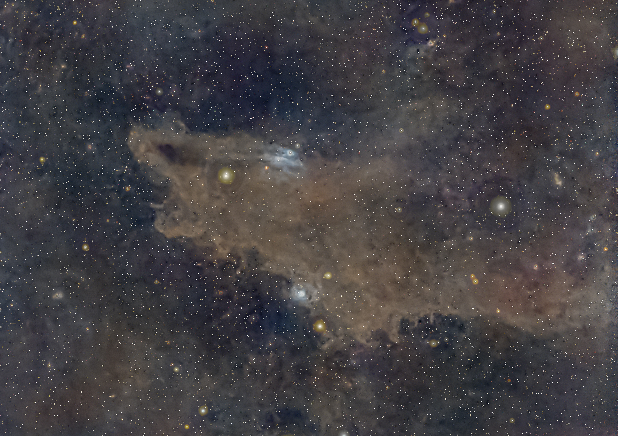 **Crop** *Dark Shark Nebula / VdB-150 / Mgławica Rekin