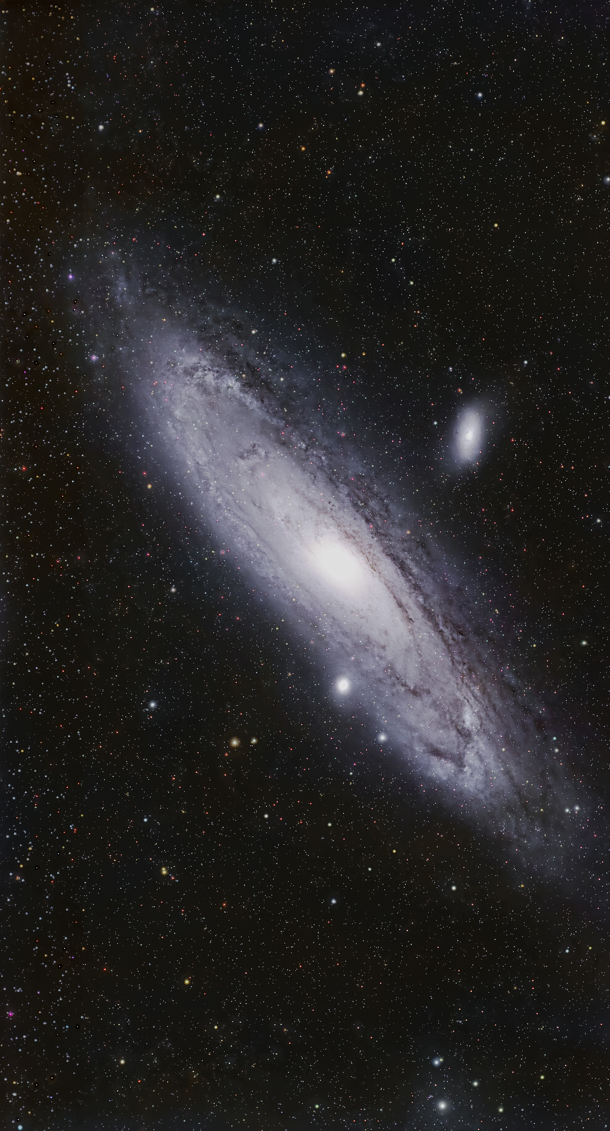 M31