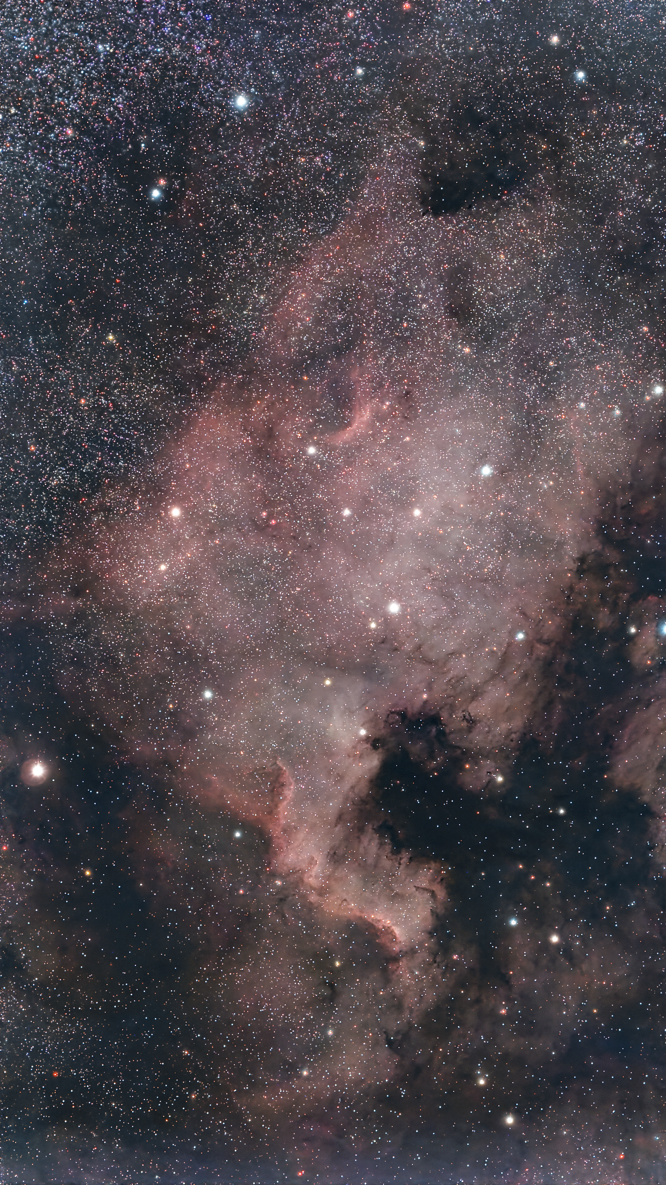NGC700
