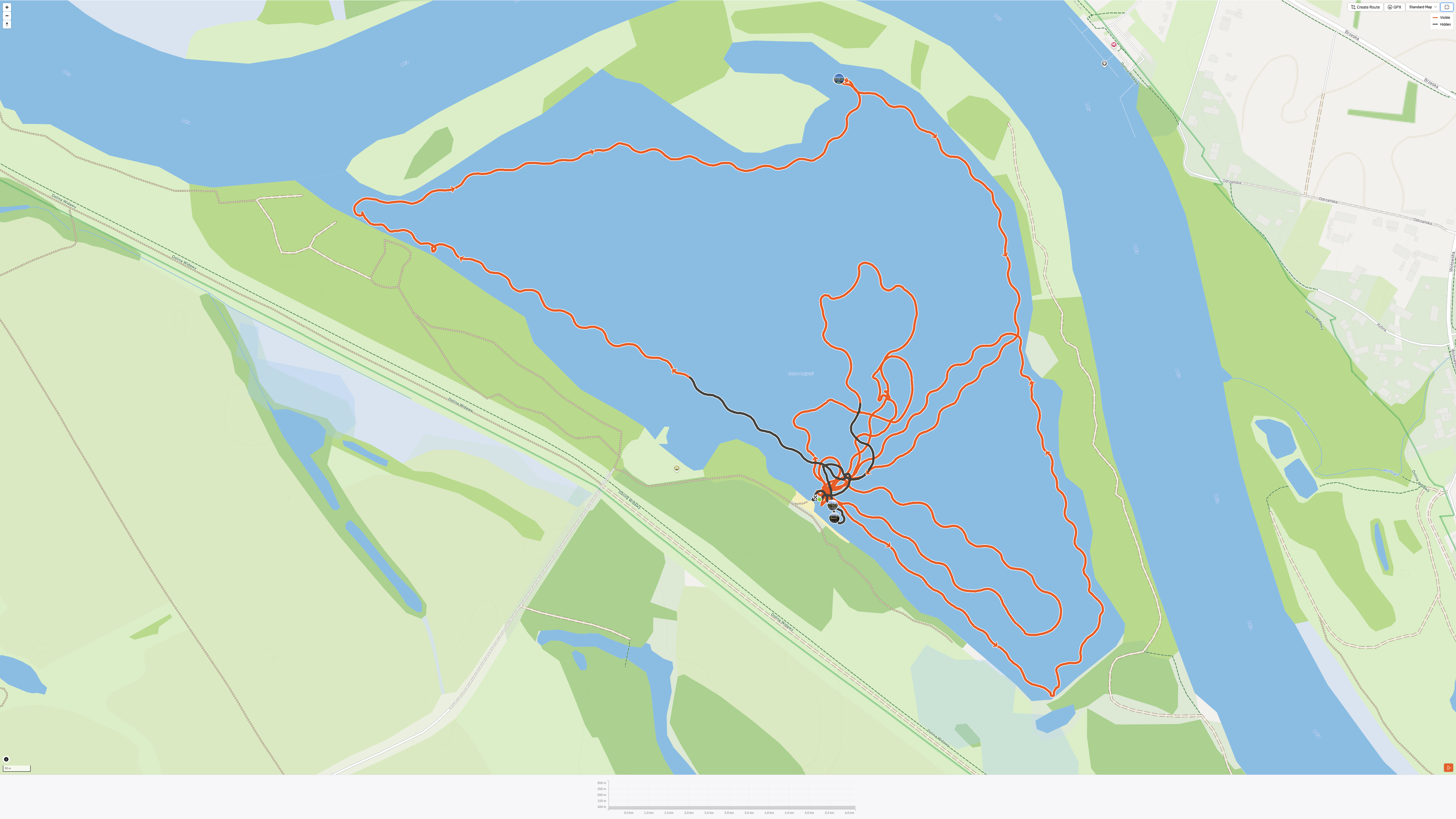 Mapa z serwisu Strava