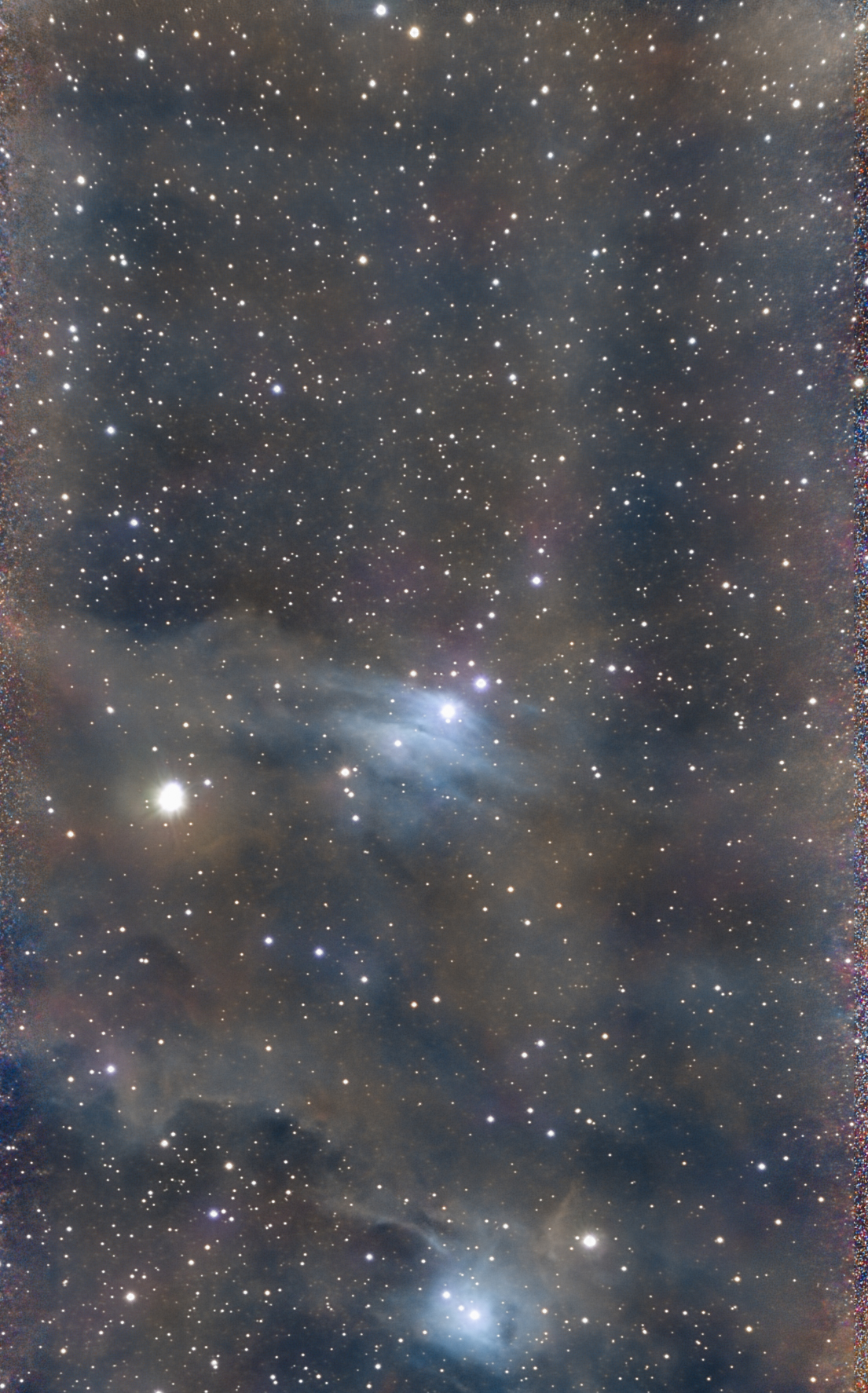 Dark Shark Nebula